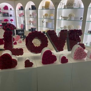 Meet your Posher, Aydan